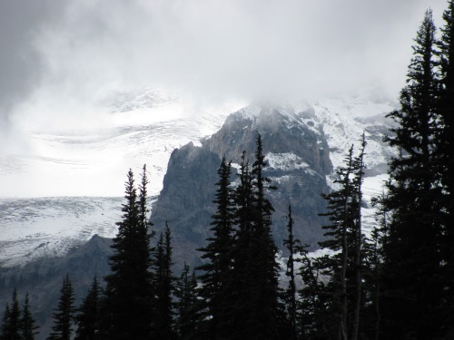Mt Rainier
